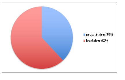 Un diagramme circulaire illustrant la répartition entre propriétaires et locataires, peut-être utile pour un Chasseur d'appartement Paris 7. Le graphique révèle que 38 % sont propriétaires (propriétaires) en bleu, tandis que 62 % sont locataires (locataires) en rouge.